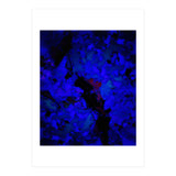 A Dark Blue Crash (Print Only) thumbnail