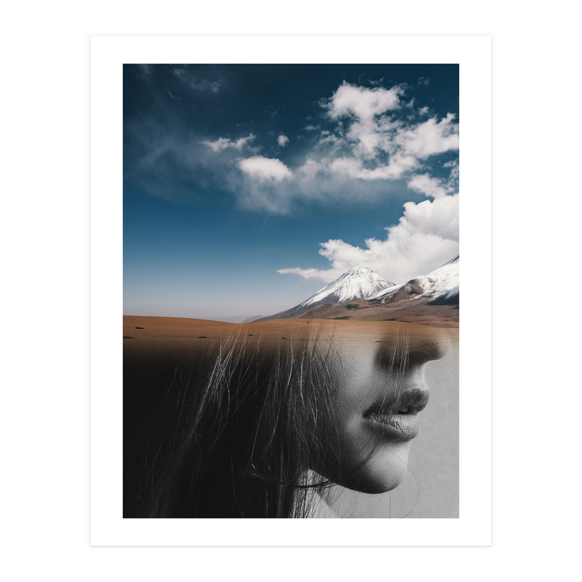 Dream Division 5 (Print Only)