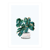 Swiss Cheese Monstera Plant Gold and Green (Print Only) thumbnail