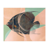 Fish Between Circles 2 (Print Only) thumbnail