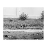 Dar Es Salam, Tanzania (Print Only) thumbnail