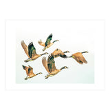 Fly Away Ii (Print Only) thumbnail