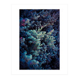 Spring (Print Only) thumbnail