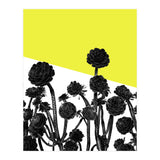 Flowers yellow (Print Only) thumbnail