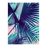 Palm leaf on the beach (Print Only) thumbnail
