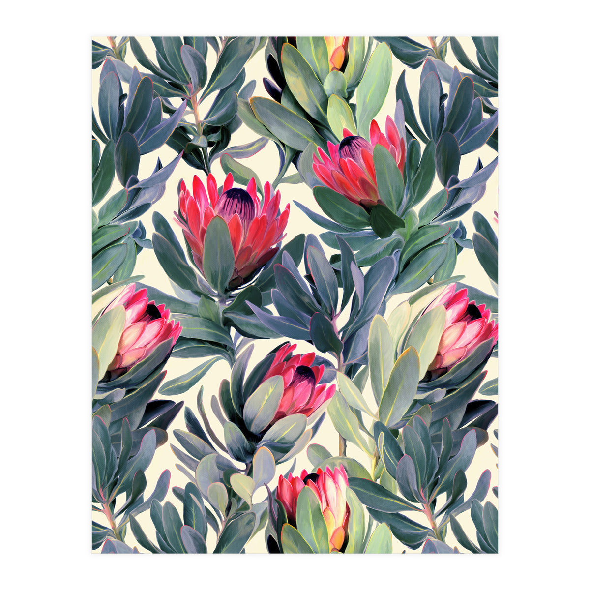Painted Protea Pattern (Print Only)