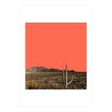 red (Print Only) thumbnail