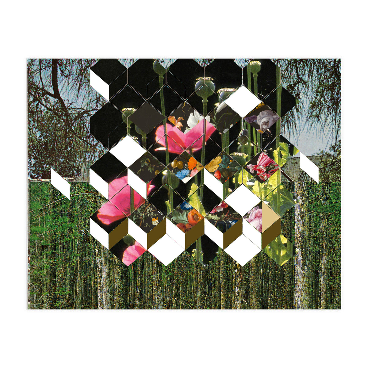 The Green (Print Only)