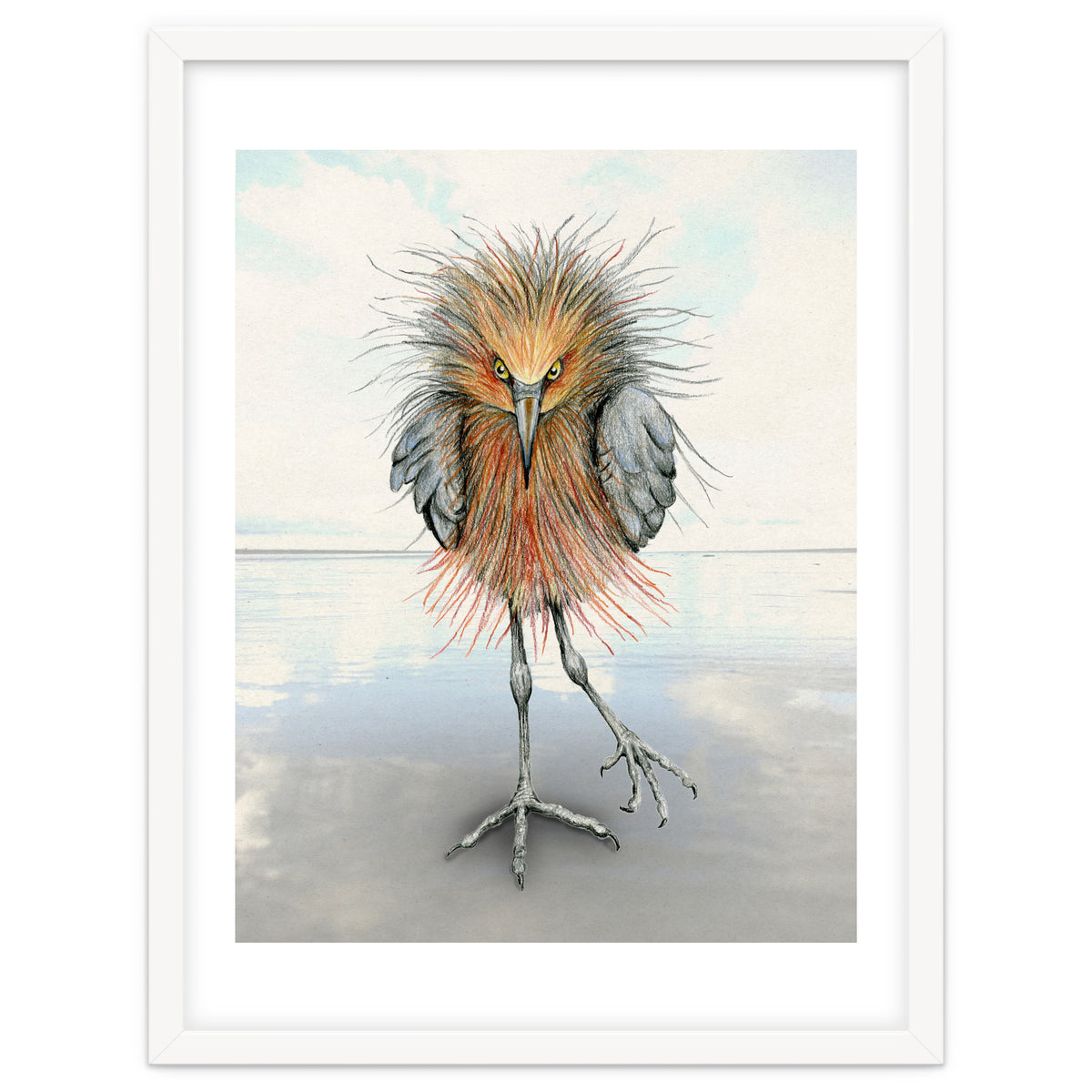 Reddish Egret