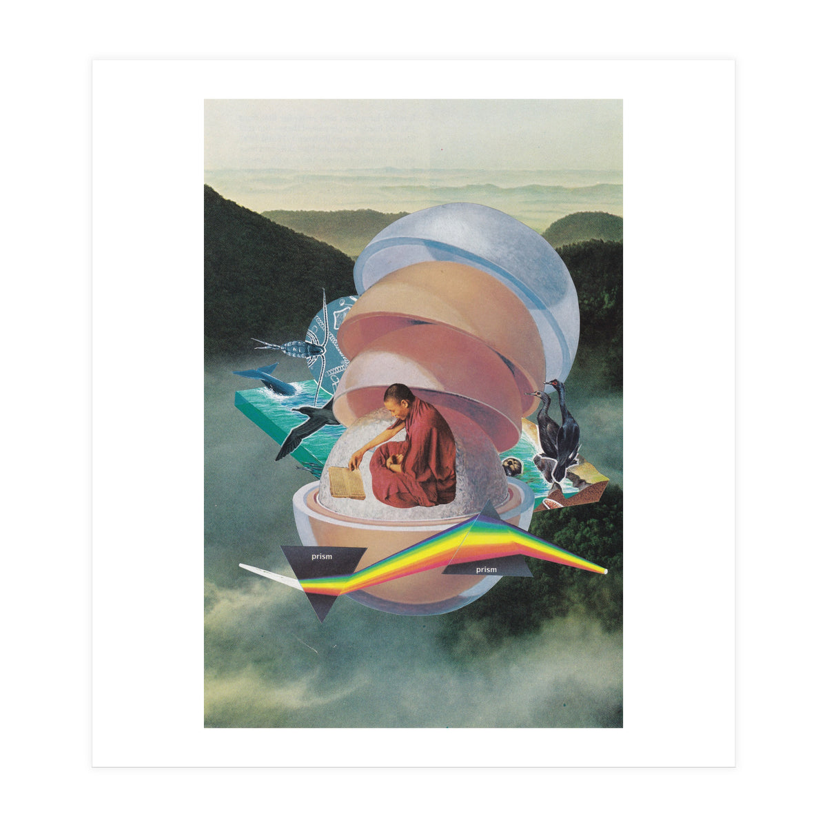 Open Book, Open World (Print Only)