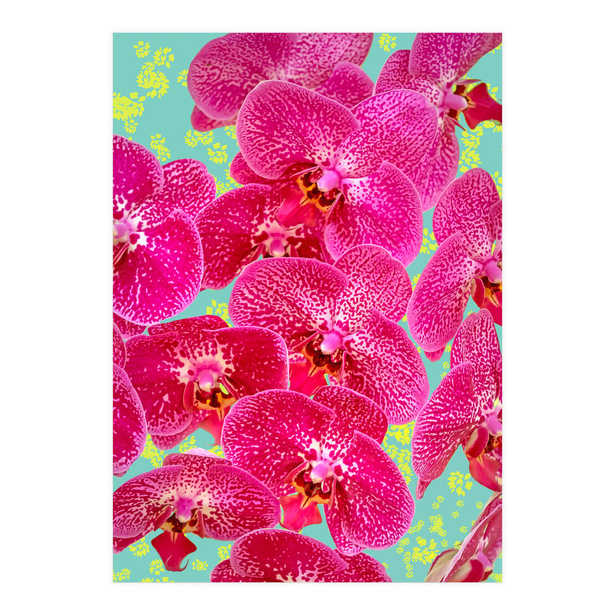 Finding My Way Back To Myself, Botanical Nature Plants Floral, Flowers Garden Colorful Boho Painting Summer Blossom (Print Only)