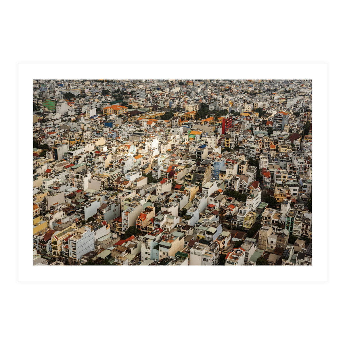 Concrete Jungle (Print Only)