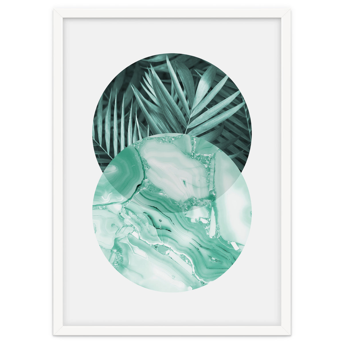 Botanical and geometric IV