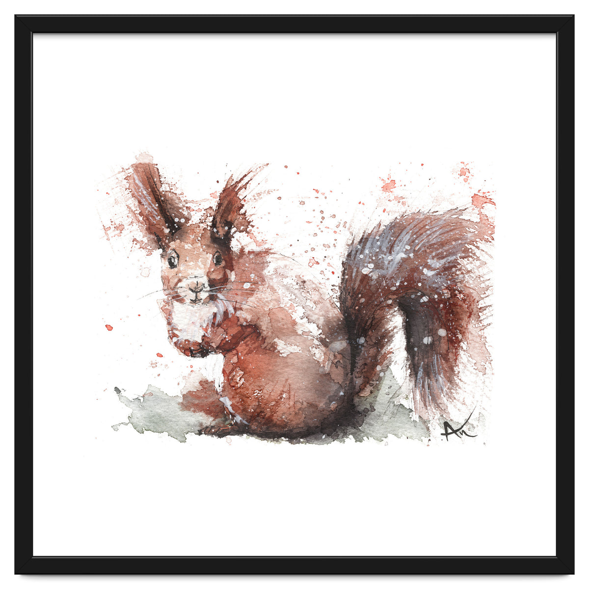 Squirrel - Wildlife Collection