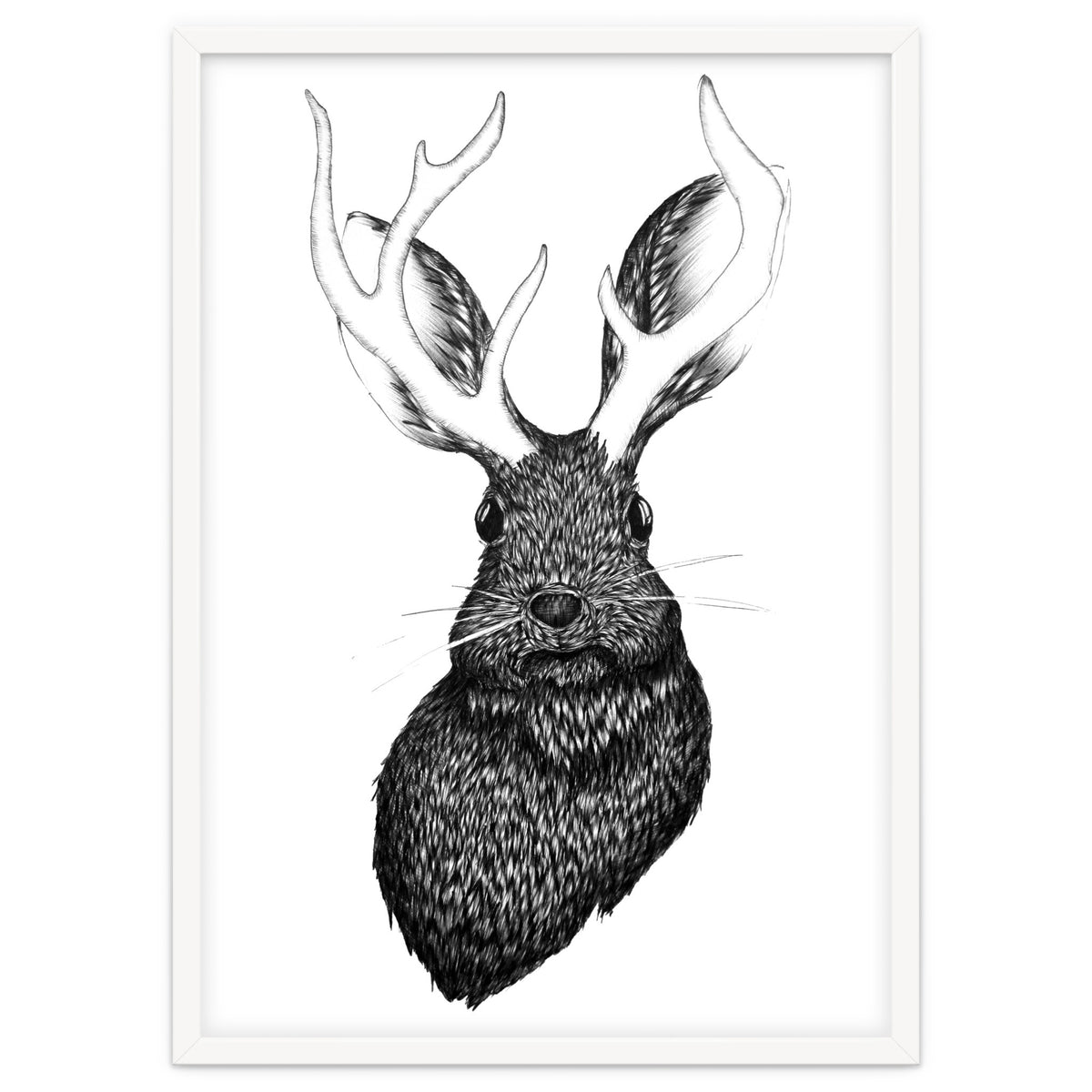 Jackalope