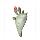 Botanical Illustration Cactus Flowers (Print Only) thumbnail