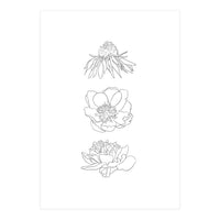 Hand Drawn Flowers (Print Only)