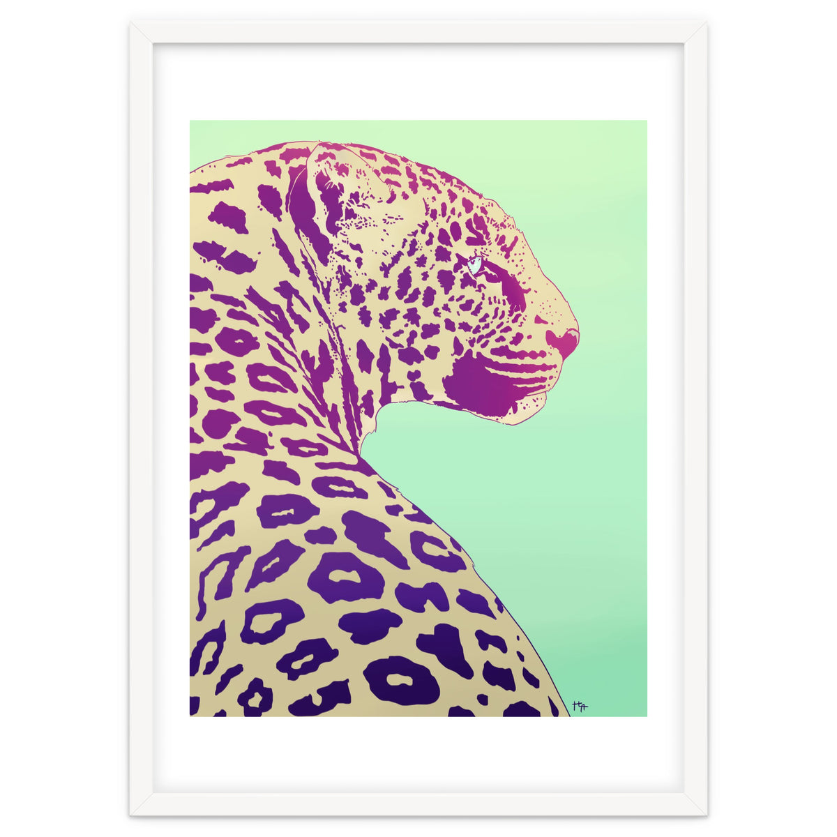 Leopard Under The Sun