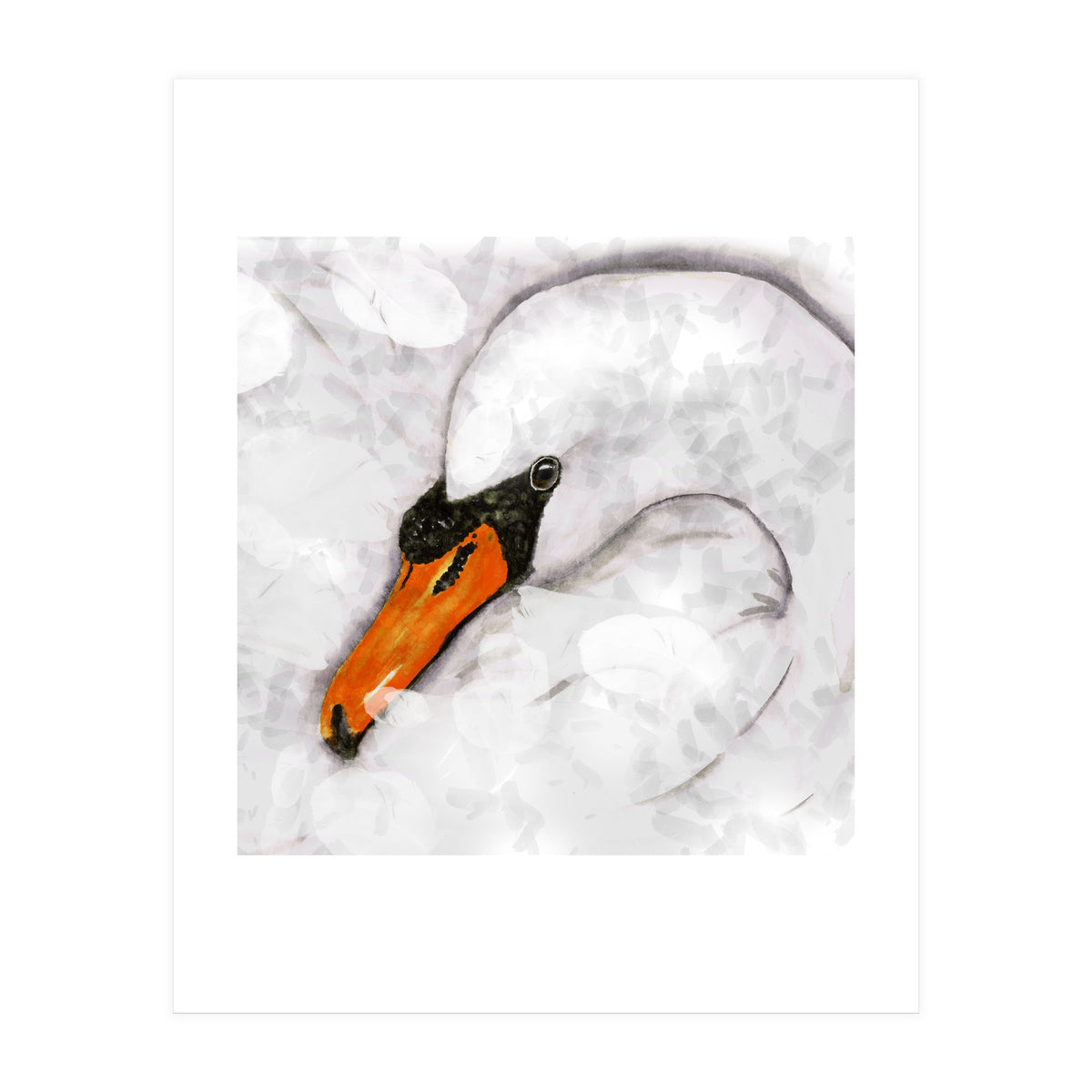 Mute swan (Print Only)