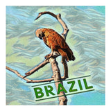 Brazilian resting Eagle (Print Only) thumbnail