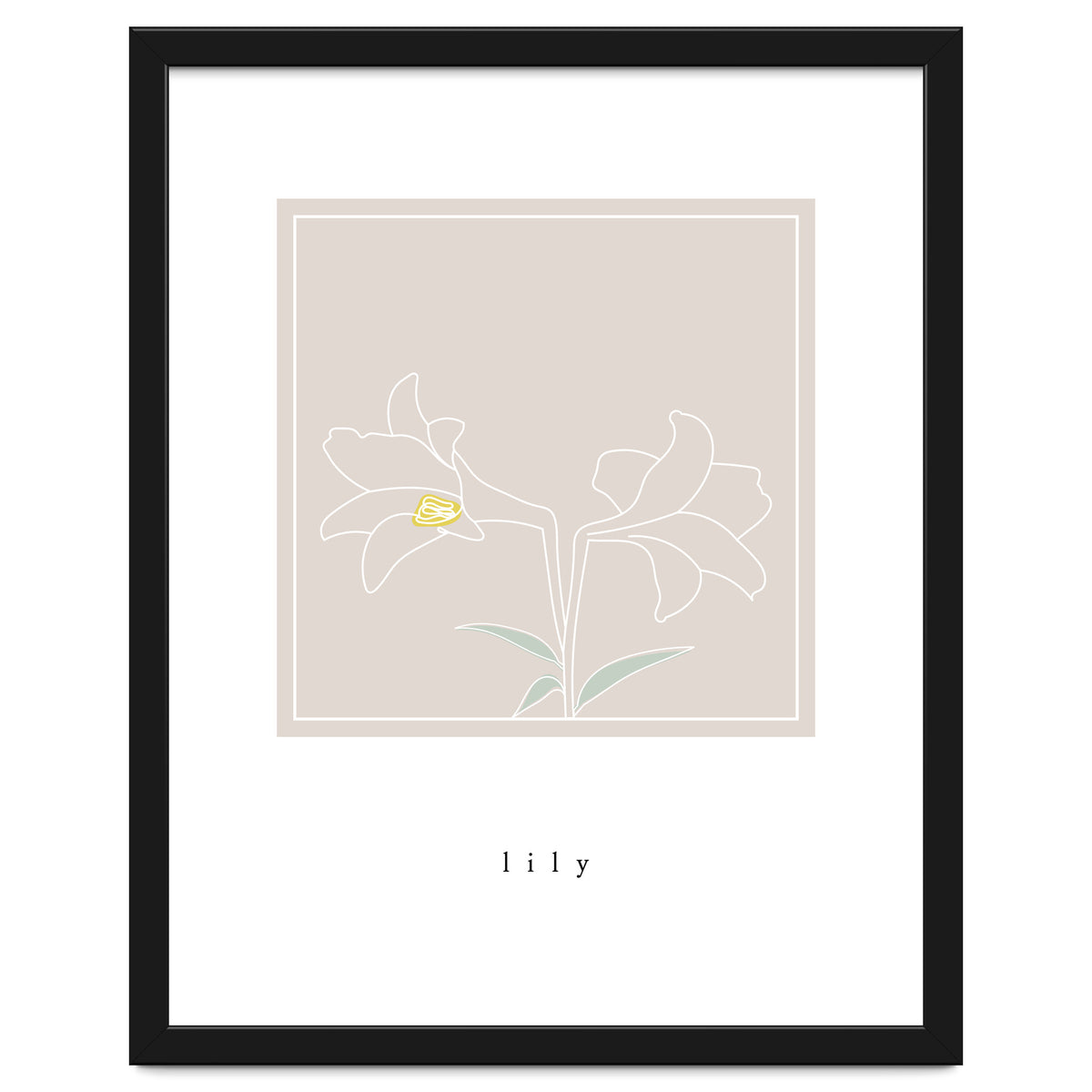 lily flower