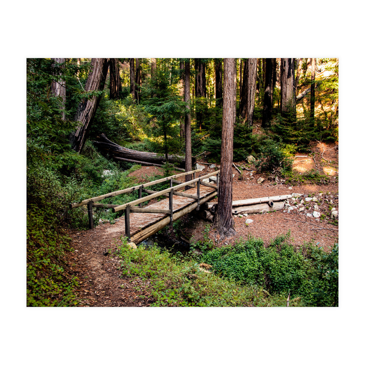 Ewoldsen Loop Bridge (Print Only)