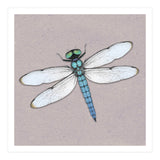 Blue dragonfly (Print Only) thumbnail