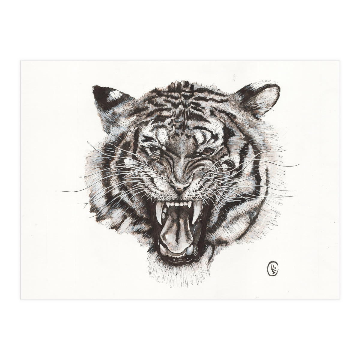 Tiger (Print Only)