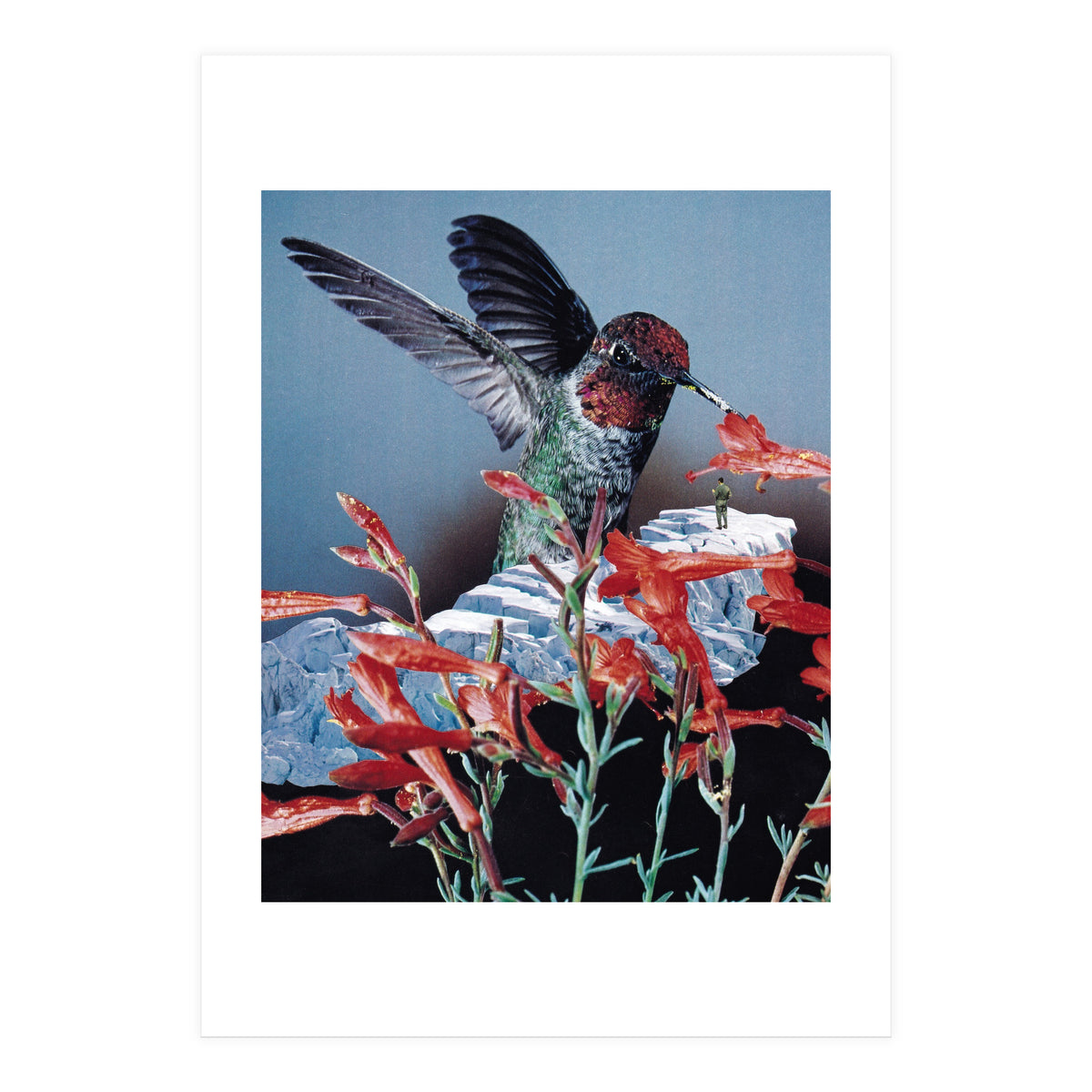 Bird Trainer (Print Only)