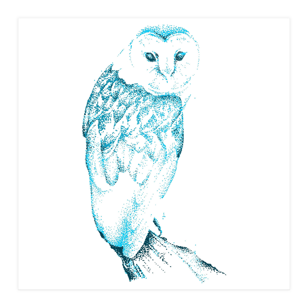 Barn Owl in Teal (Print Only)