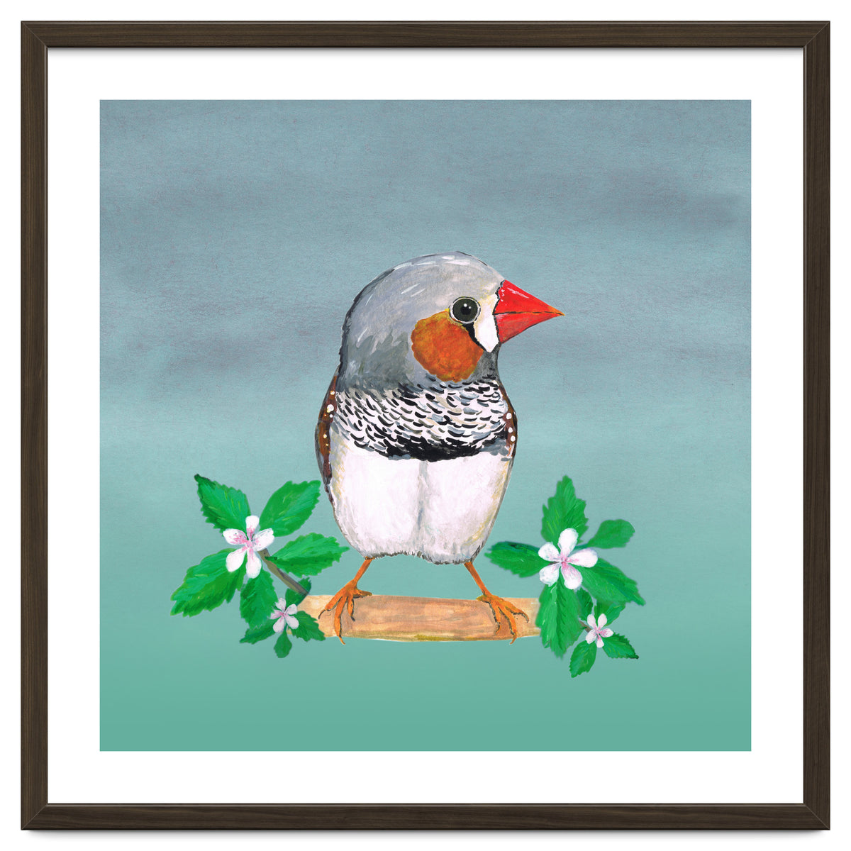 Zebra finch