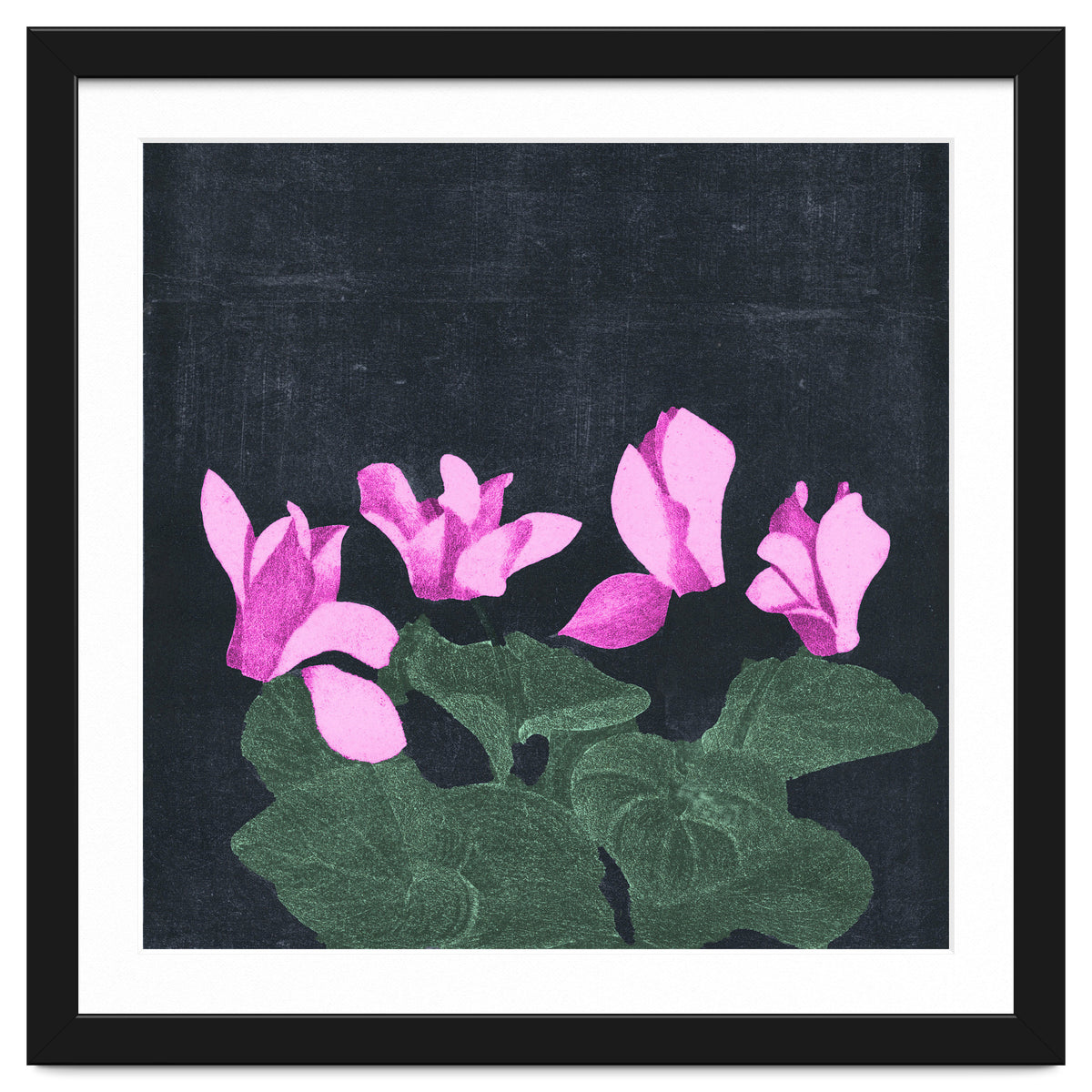 Cyclamen