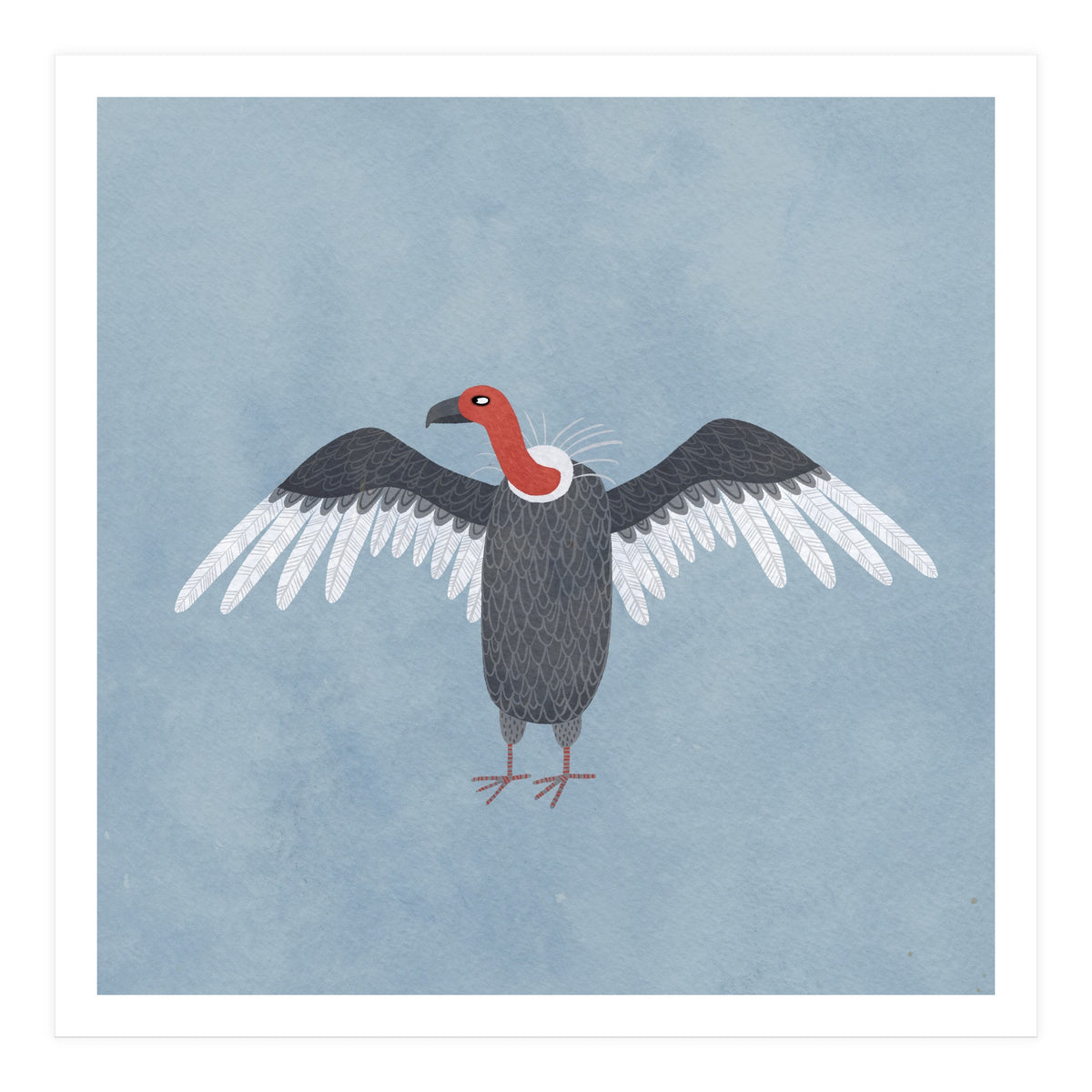 Vulture (Print Only)