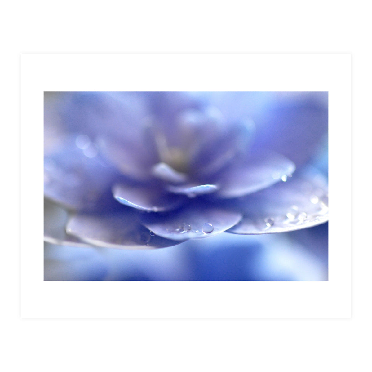 Enchantress (Print Only)