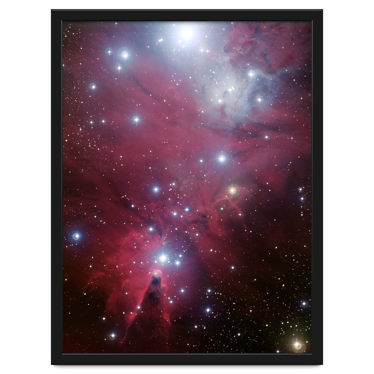 The Christmas Tree Cluster