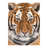 Tiger (Print Only) thumbnail