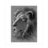 Sketch Lion (Print Only) thumbnail