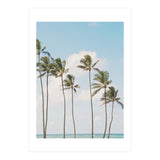 Tropical Palm Trees (Print Only) thumbnail