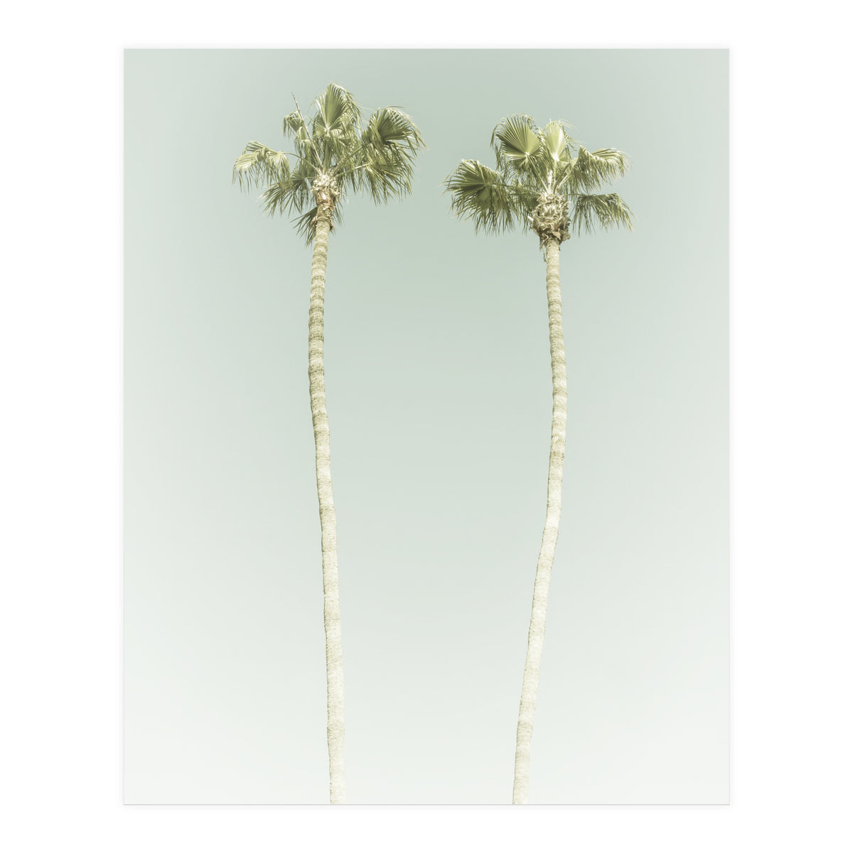 Vintage Palm Trees  (Print Only)
