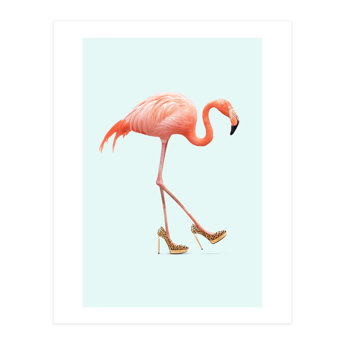 Fancy Flamingo (Print Only)
