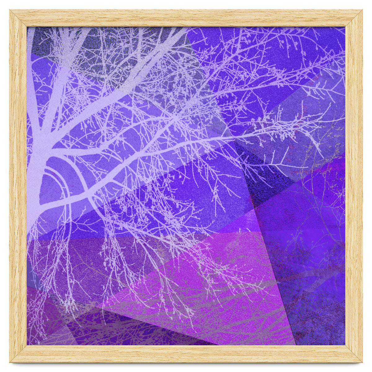 P19-D2 Trees and Triangles