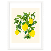 Sunny Lemons