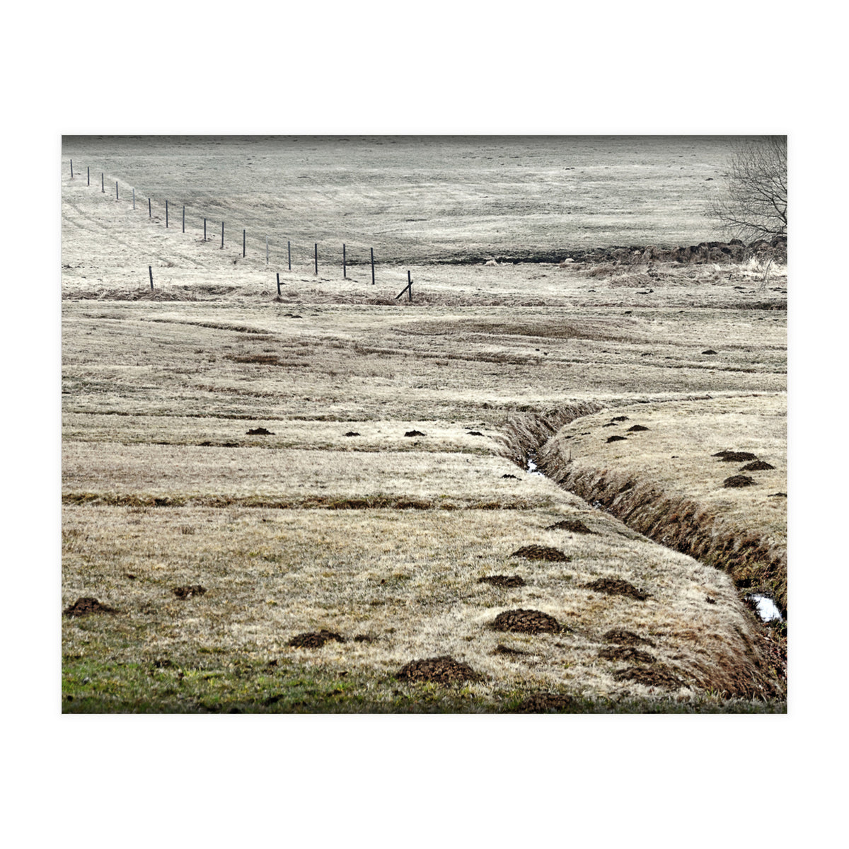 Wet meadows (Print Only)