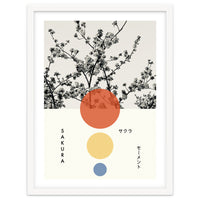 Sakura - Cherry blossom - Japanese - Photography