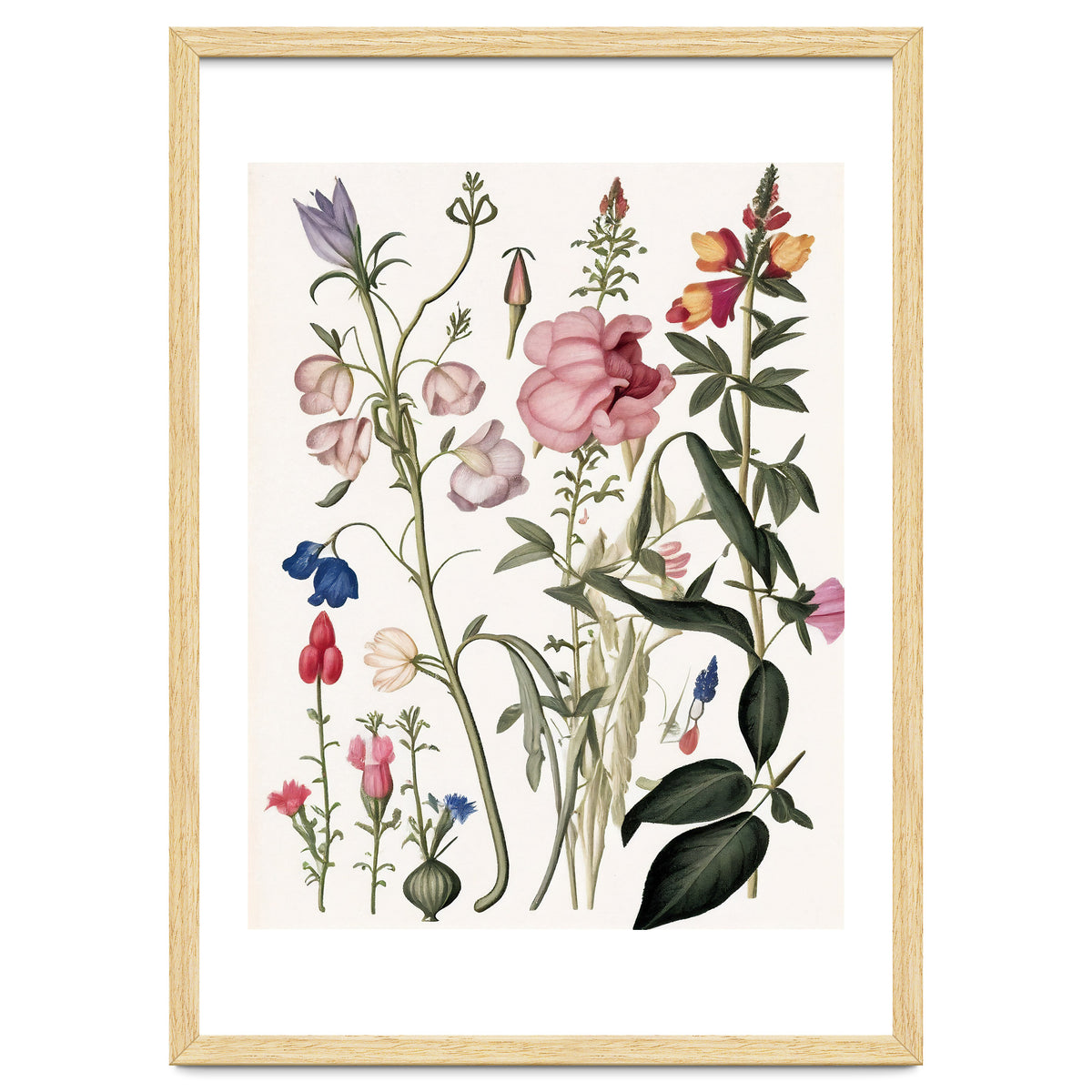 Flowers Botanical Vintage Illustration