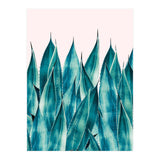 Summer Agave (Print Only) thumbnail