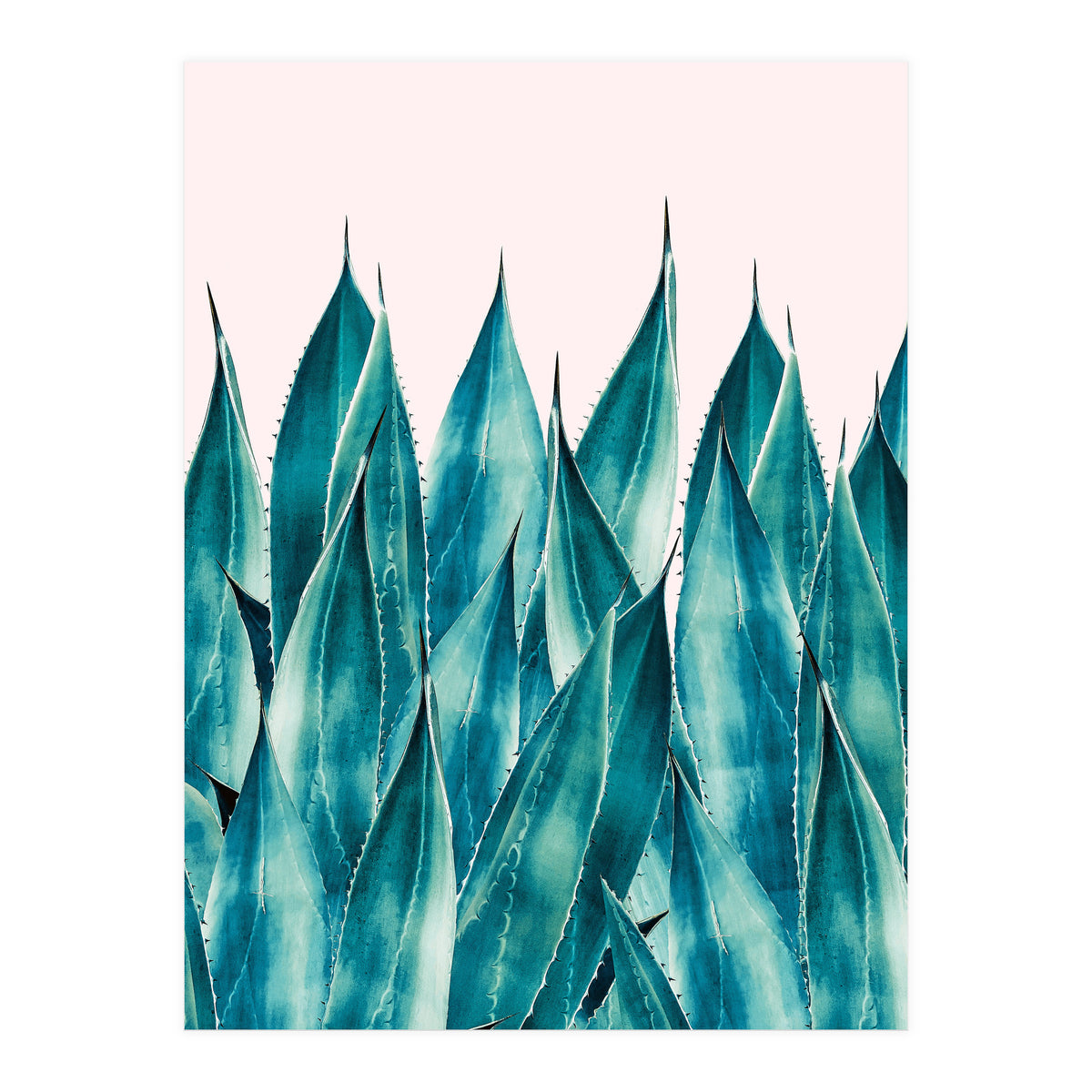Summer Agave (Print Only)