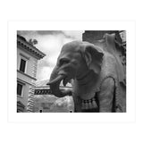 Elephant and Obelisk (Print Only) thumbnail