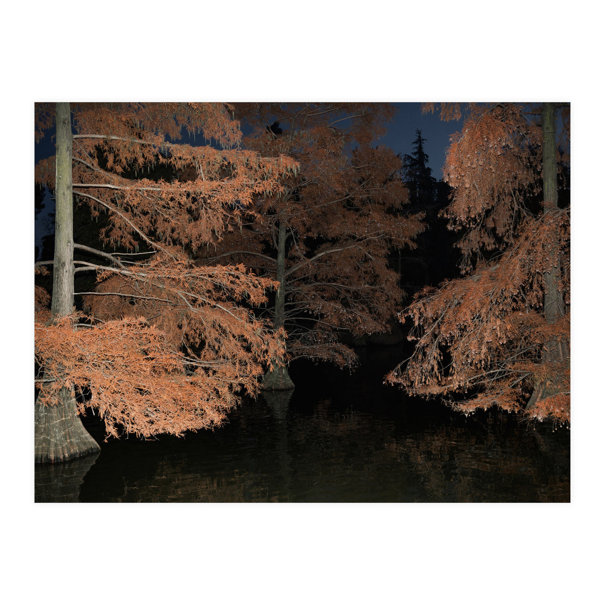 Sleepy Hollow (Print Only)