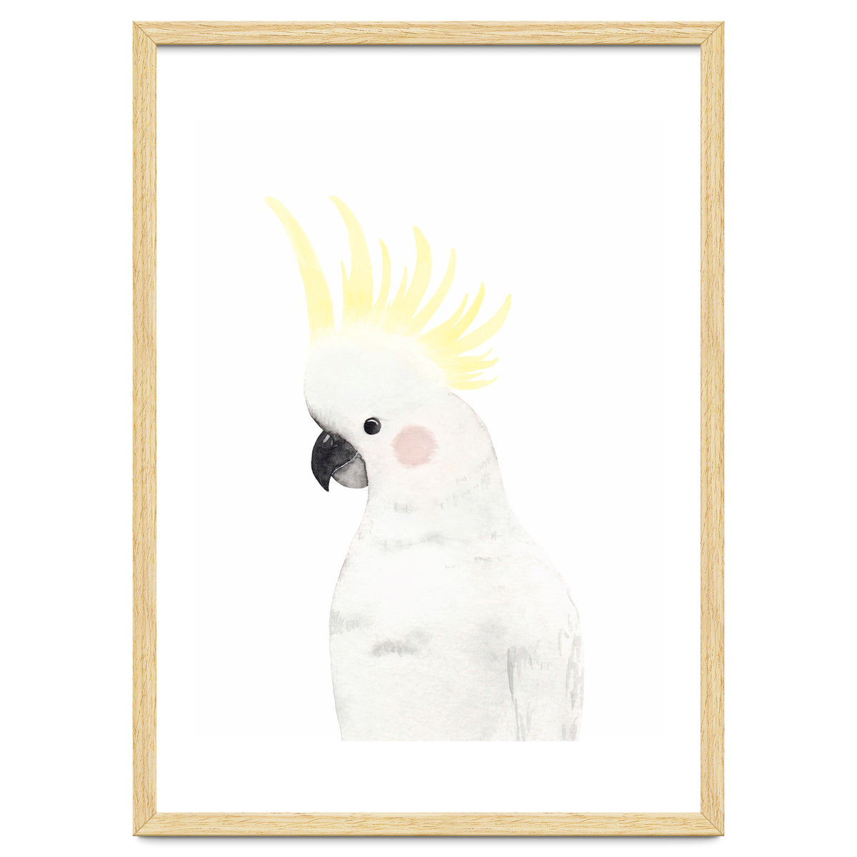 Sweet Cockatoo
